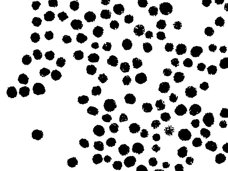 Grayscale image of excellent dispersion performance under sem on 20nm by using EP-6.
